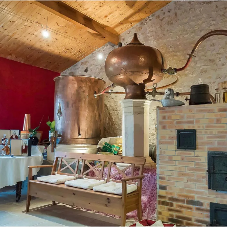 Vignoble Plaize