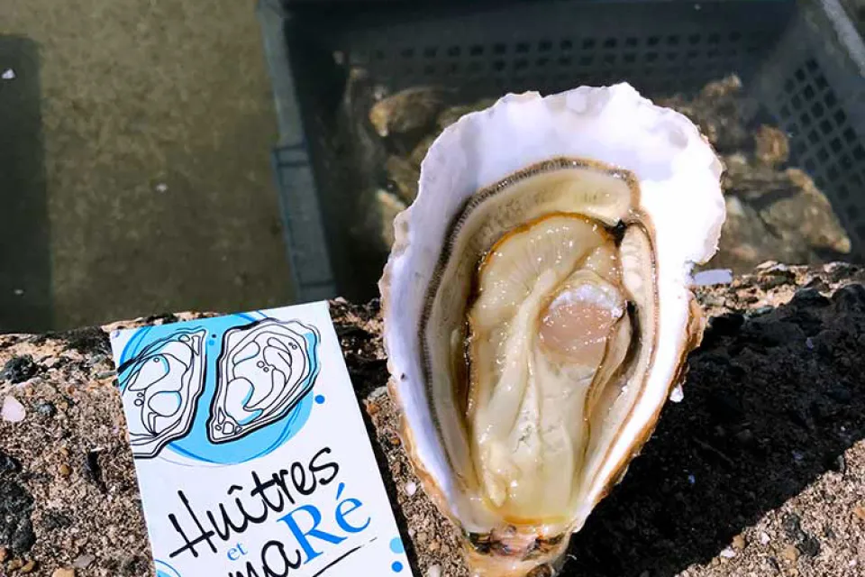 Huîtres et ma RÉ
