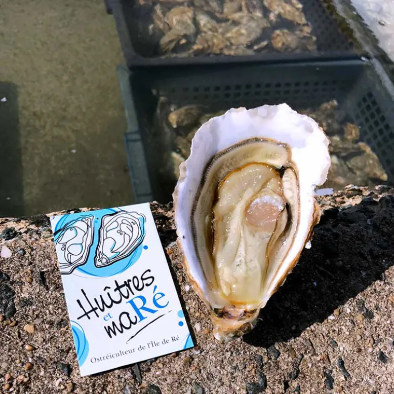 Huîtres et ma RÉ