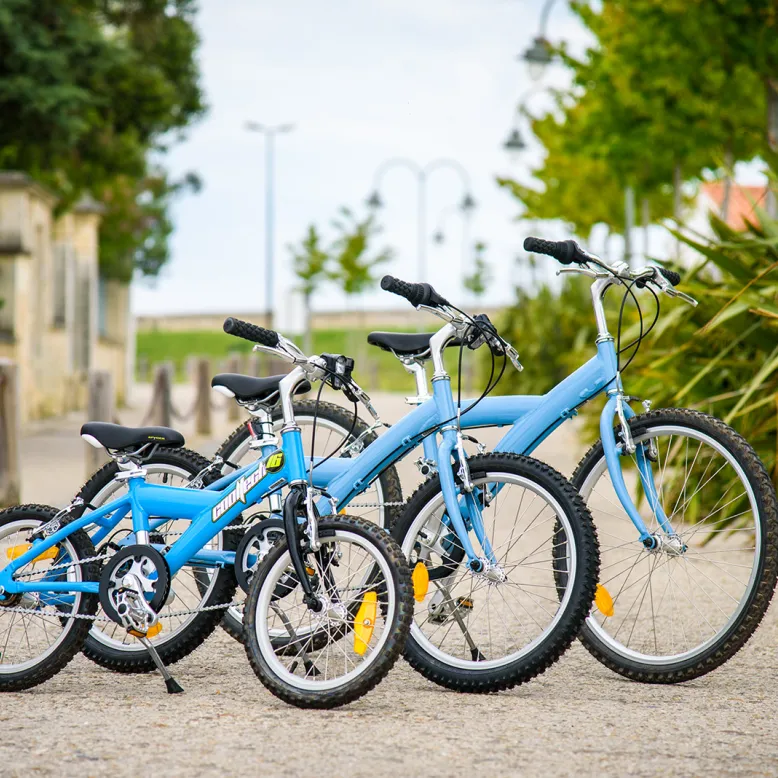 BEACH BIKES Ars-en-Ré