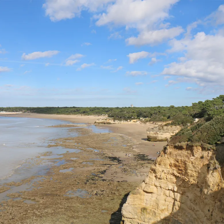 Parc de l'estuaire