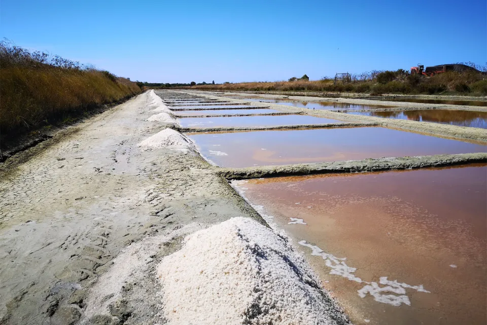 Les Marais salants de l’île de Ré