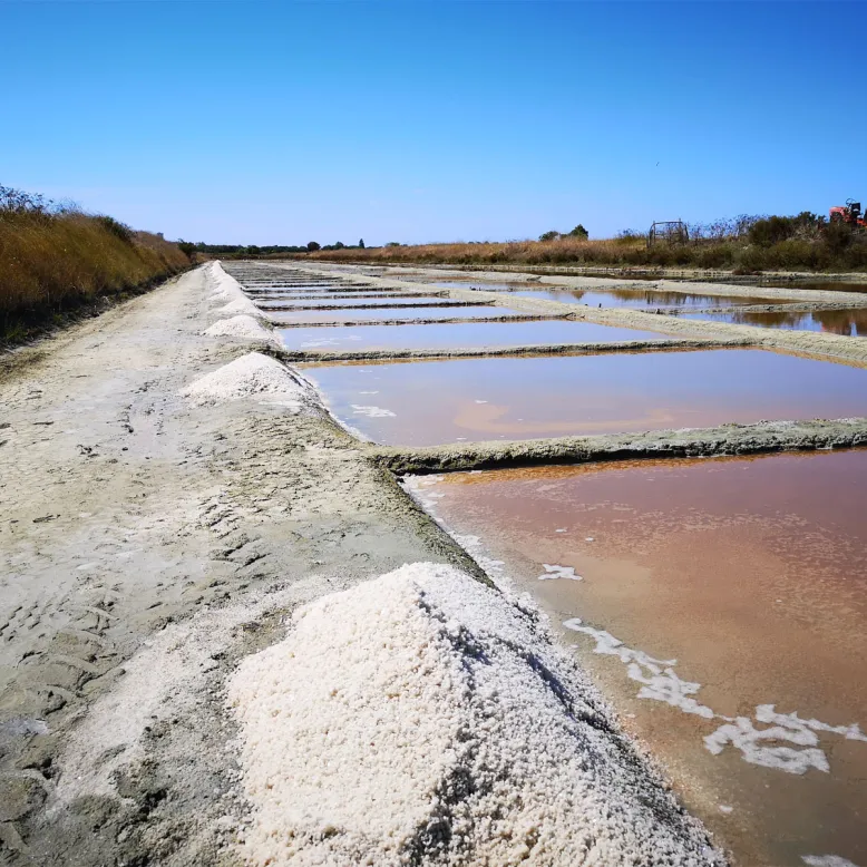 Les Marais salants de l’île de Ré