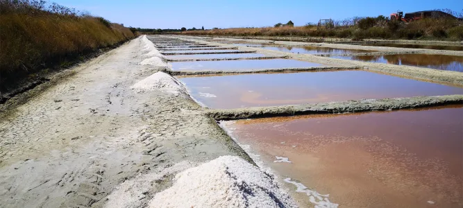 Les Marais salants de l’île de Ré