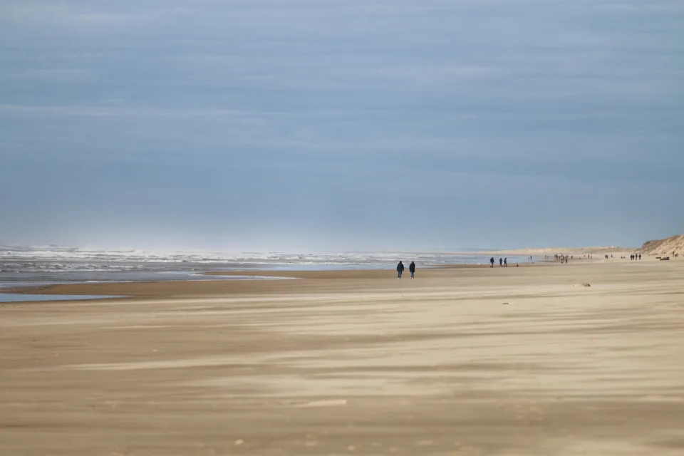Côte sauvage