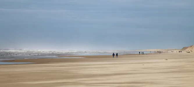Côte sauvage