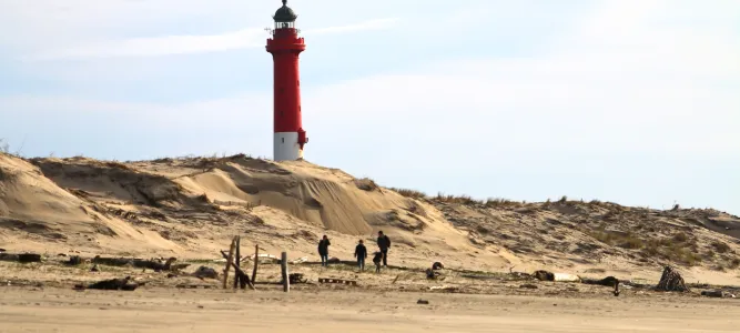 Pointe de la Coubre