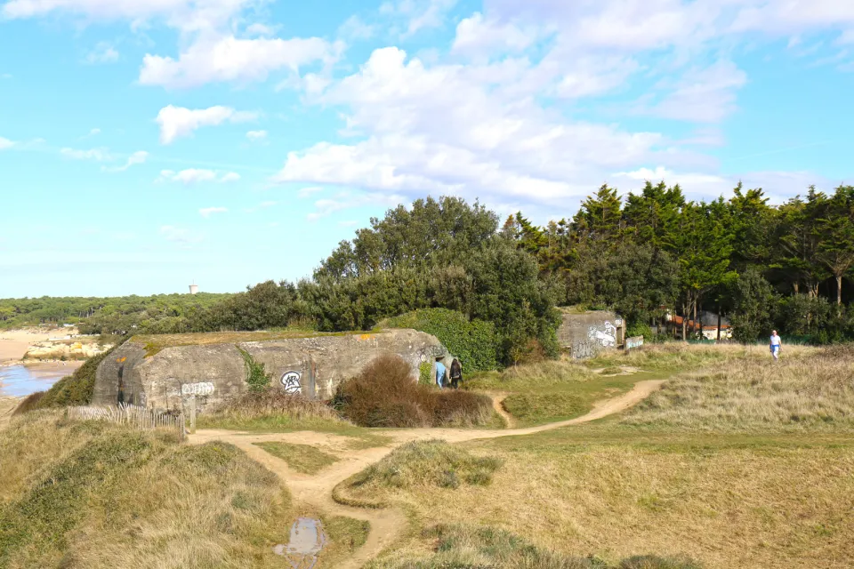 Forêt et pointe de Suzac