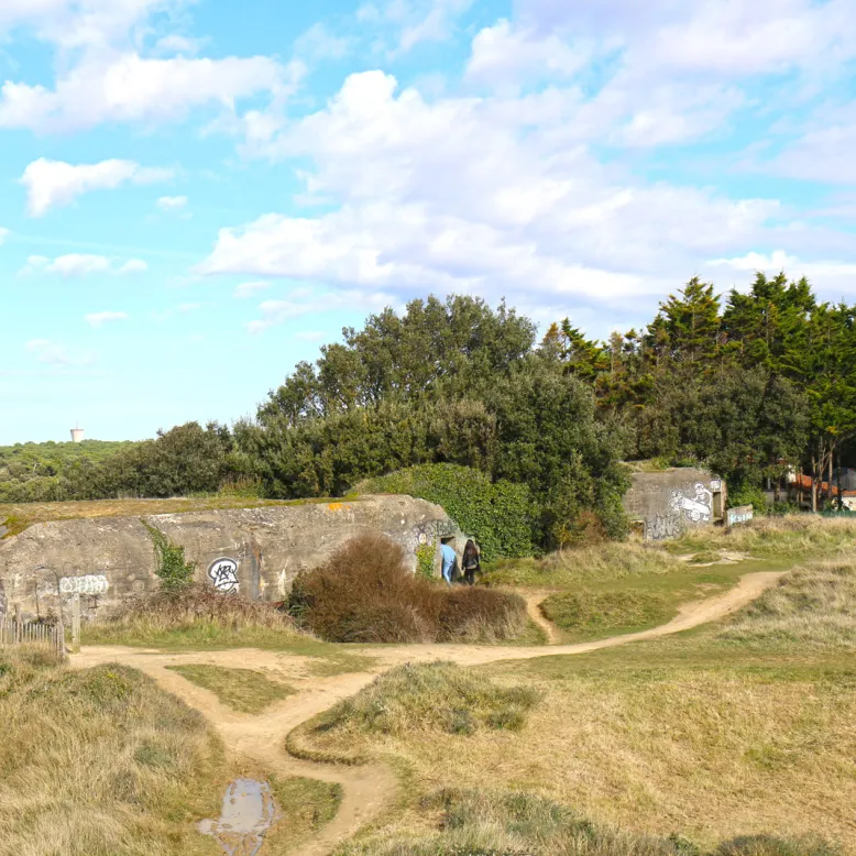 Forêt et pointe de Suzac