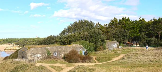 Forêt et pointe de Suzac