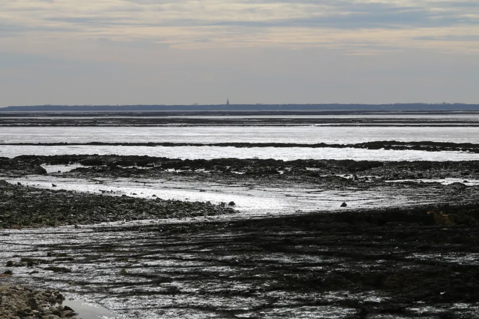 Embouchure de la Charente