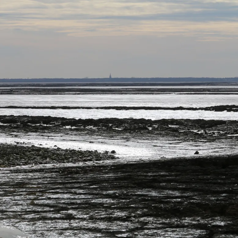 Embouchure de la Charente