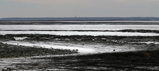 Embouchure de la Charente