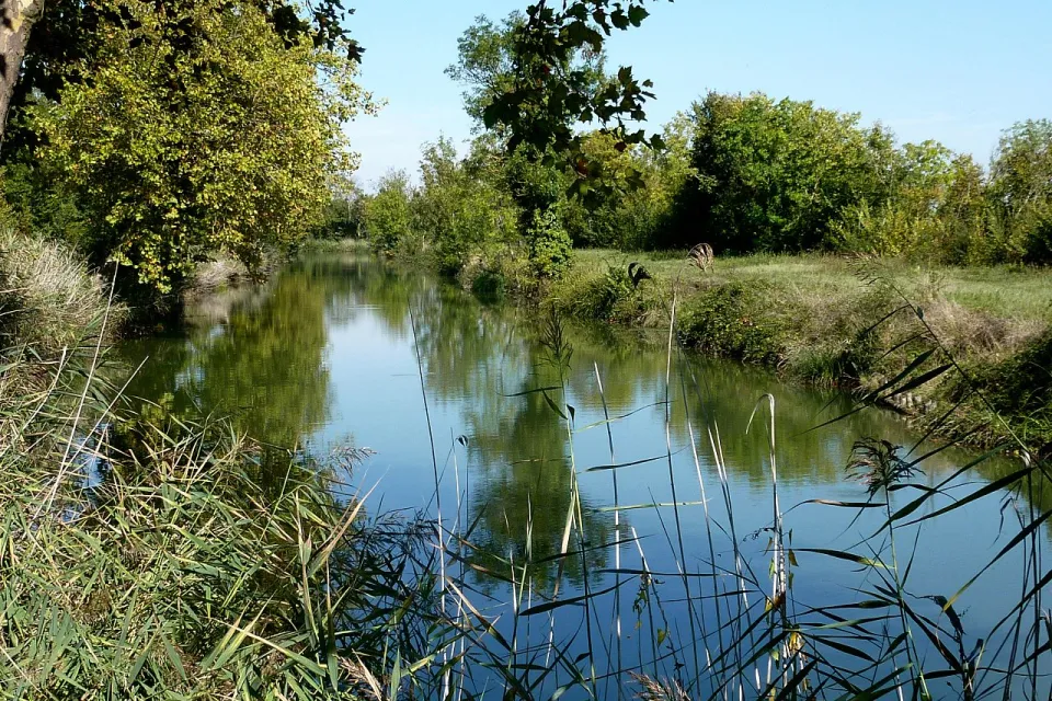 Canal de Charras