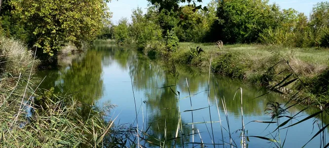 Canal de Charras