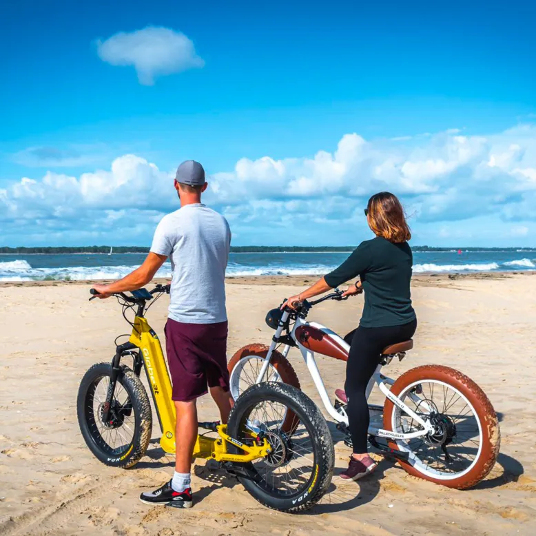 Fat Sand Bikes
