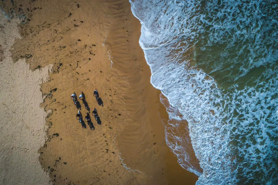 Fat Sand Bikes