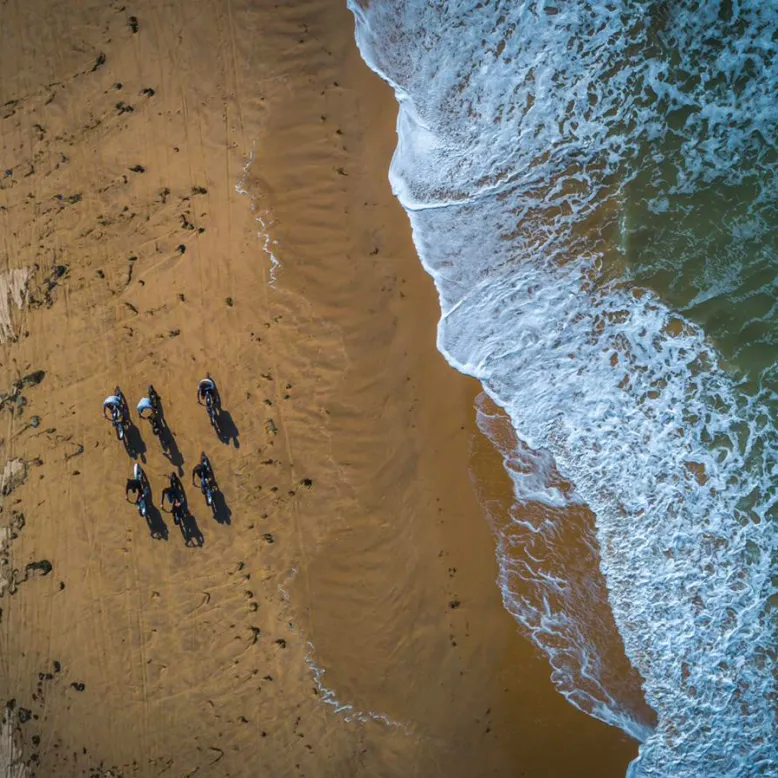 Fat Sand Bikes