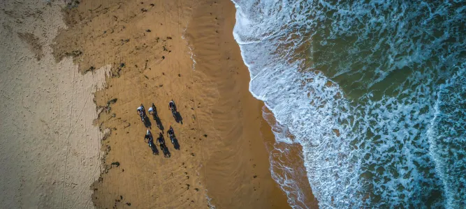 Fat Sand Bikes
