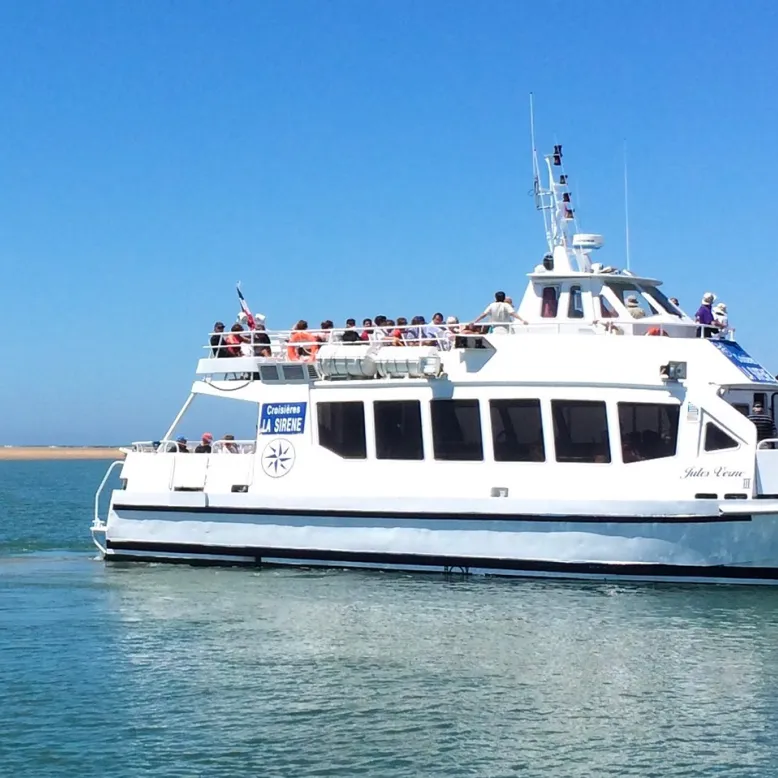 The Mermaid Cruises