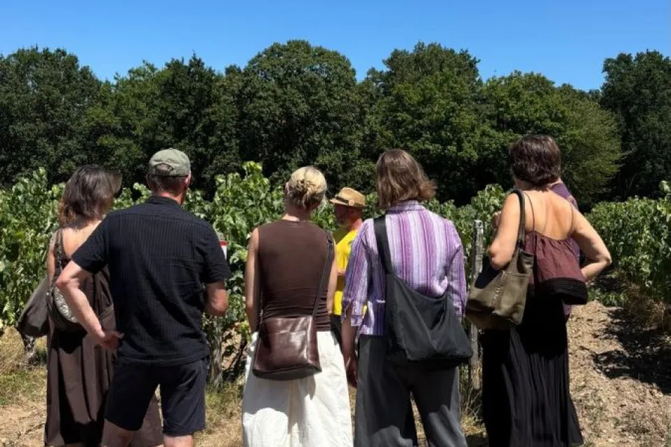 Domain Poncereau de Haut