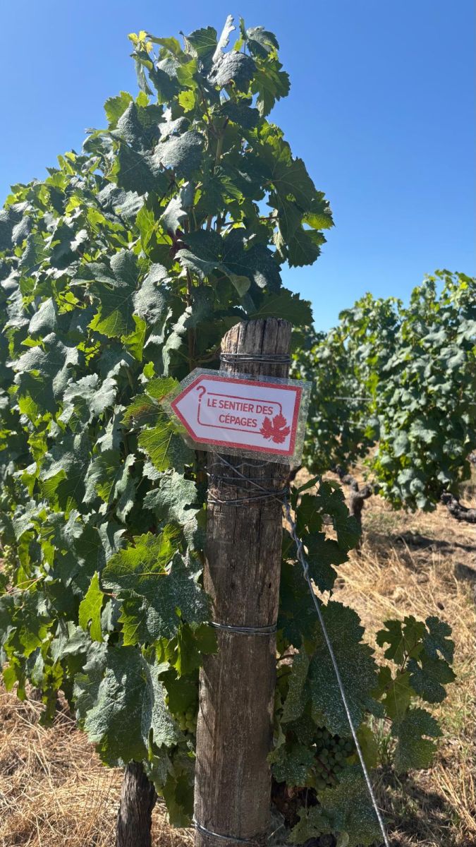 Domaine Poncereau de Haut