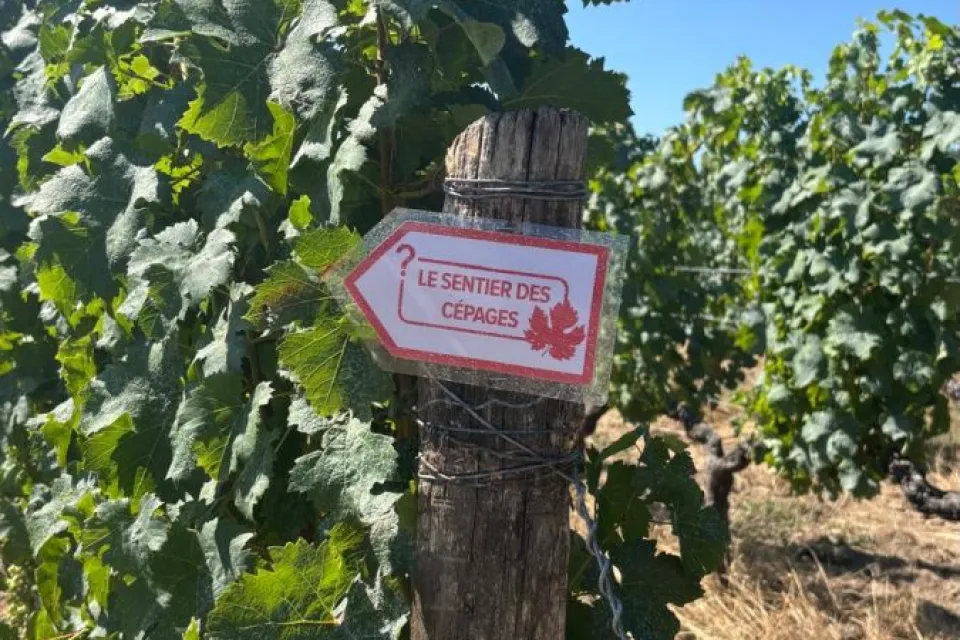 Domaine Poncereau de Haut