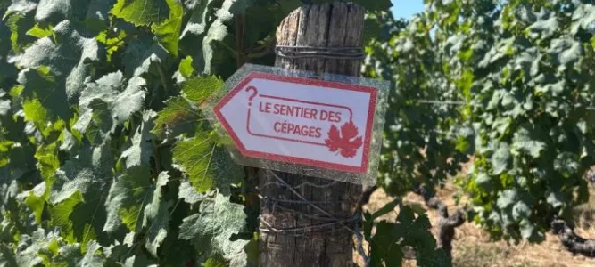 Domaine Poncereau de Haut