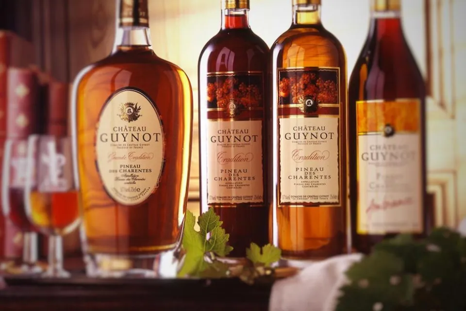 Domaine de Château Guynot