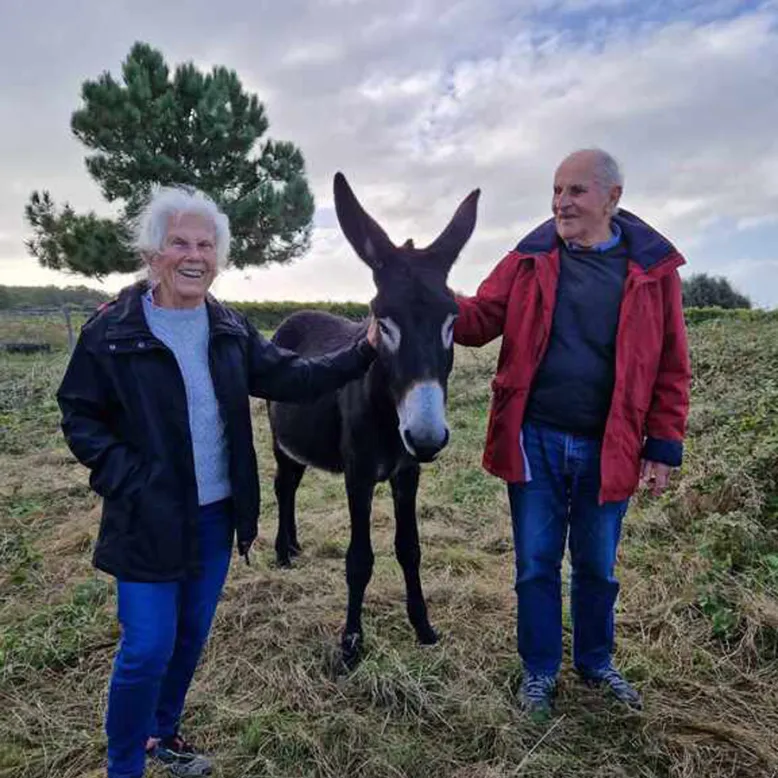 The Donkeys of Oleron