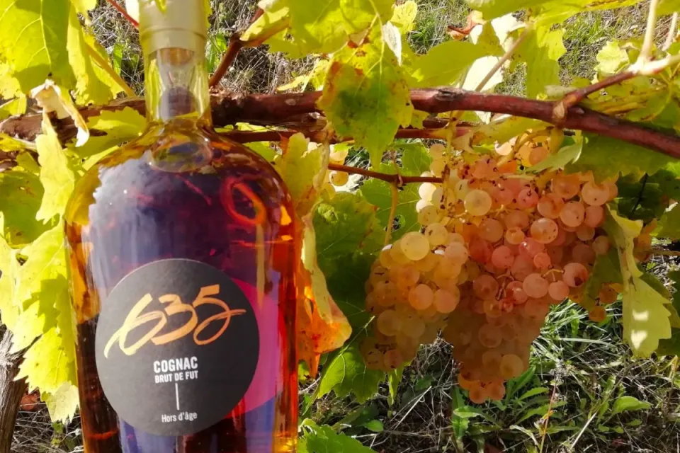 Domaine des Tonneaux