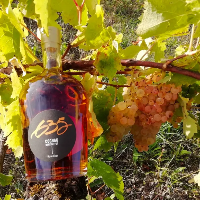 Domaine des Tonneaux