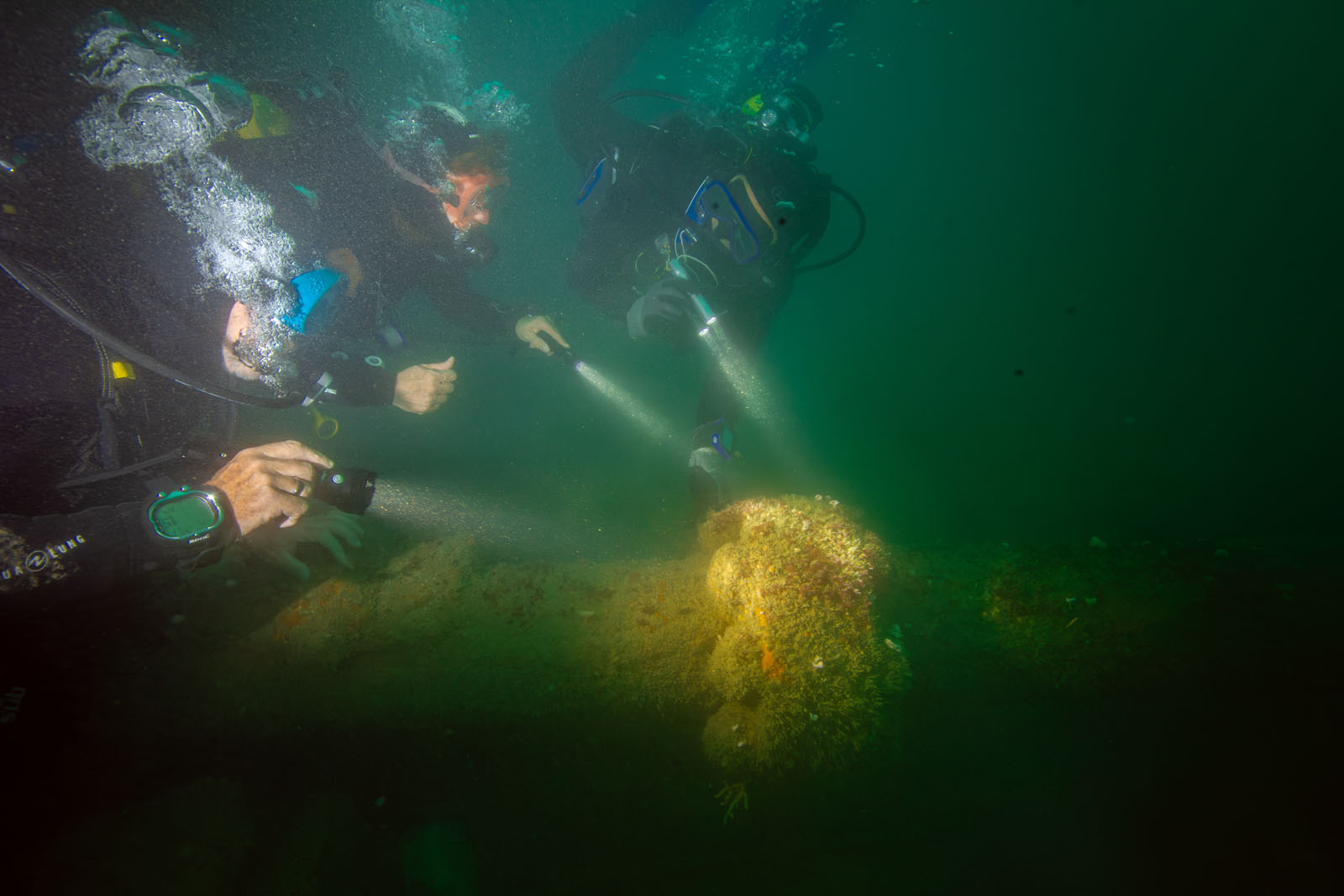 Oléron Plongée - Les Joyeux Corsaires