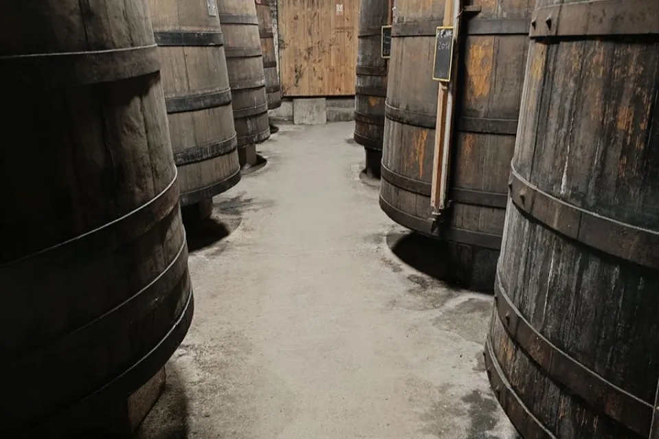 Vignoble Thibeau