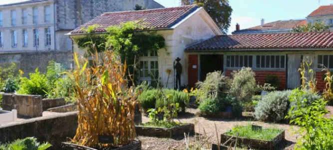 Potager du Roy