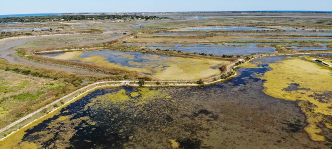Réserve Naturelle Nationale de Lilleau des Niges