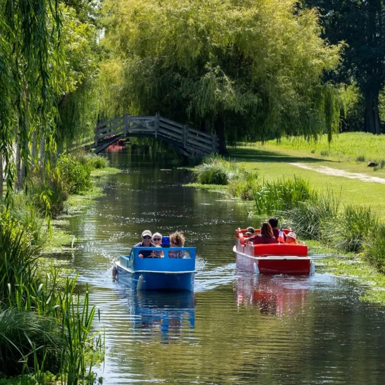 Au bord du Lac
