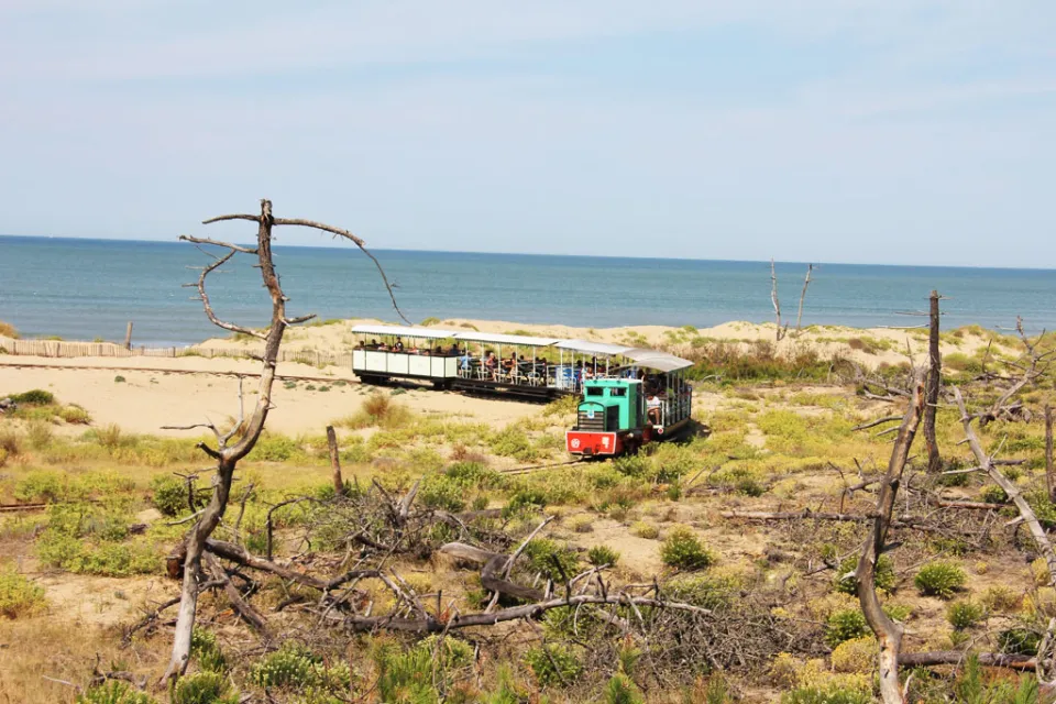 Le P'tit train de St Trojan