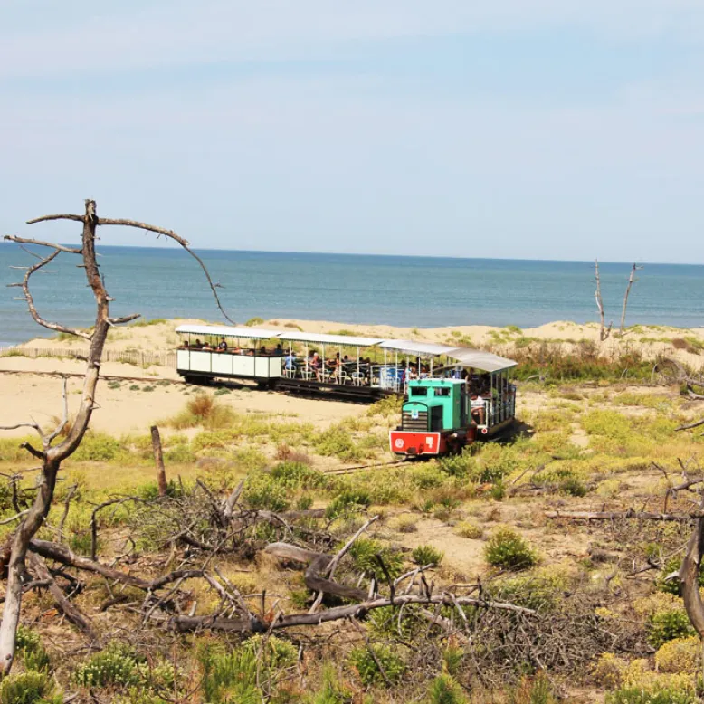 Le P'tit train de St Trojan