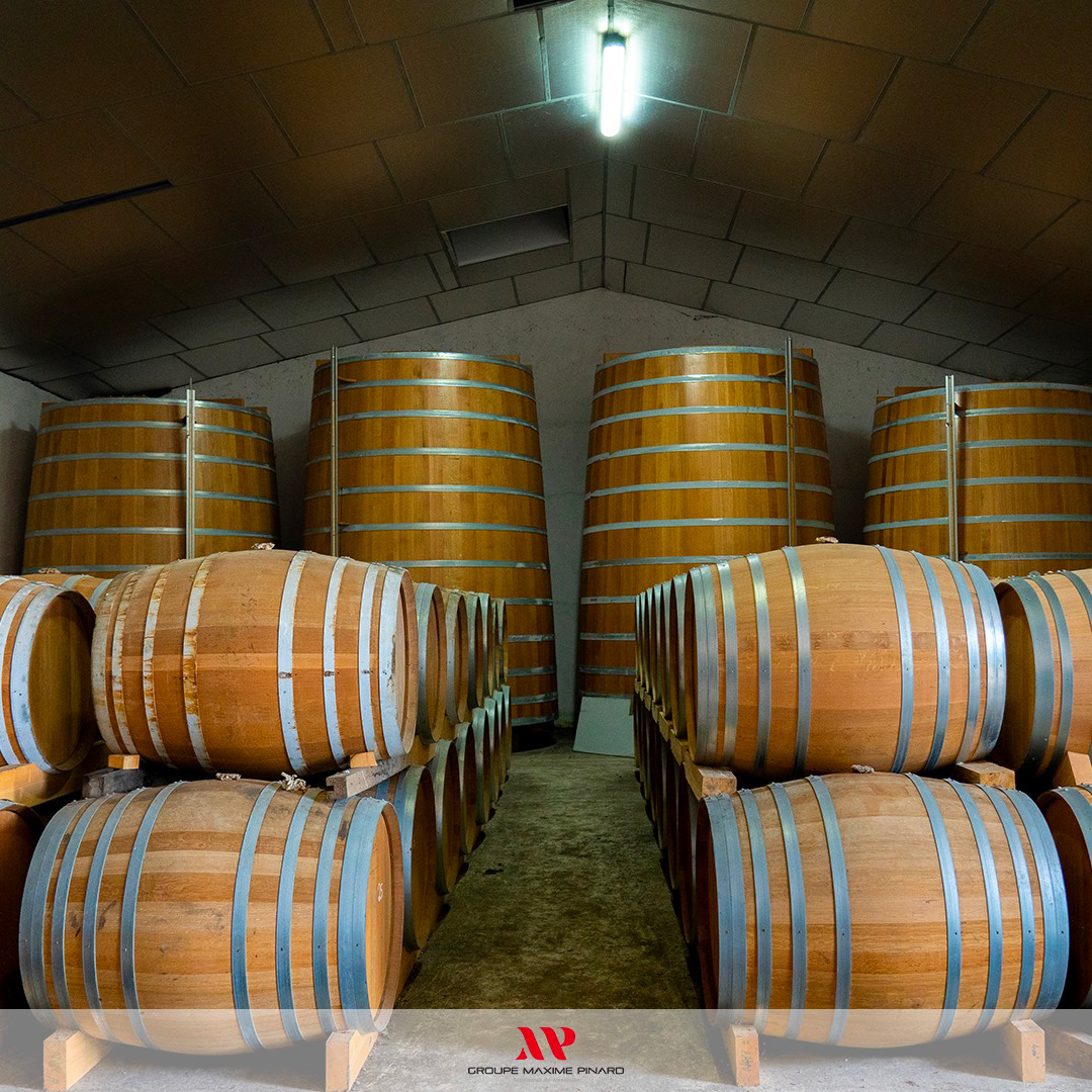 Maxime Pinard Vineyard