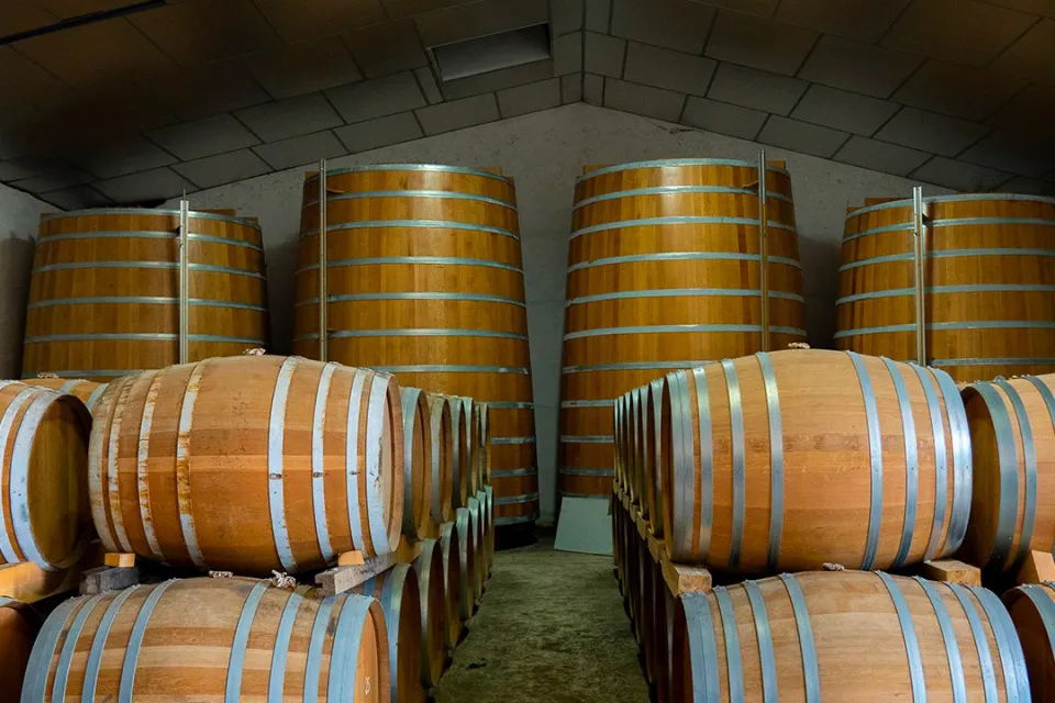 Maxime Pinard Vineyard