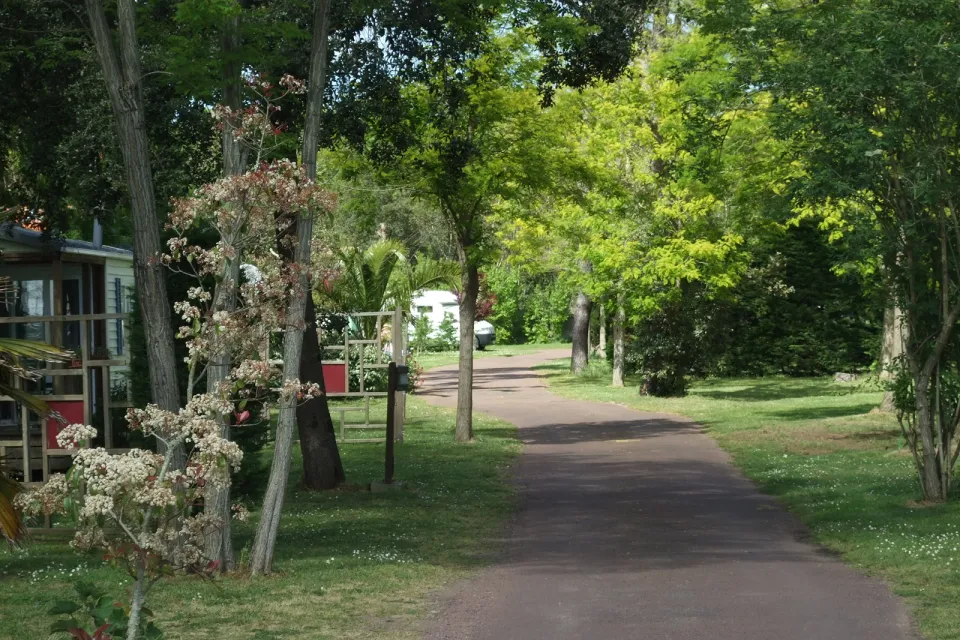 Camping Le Sous Bois