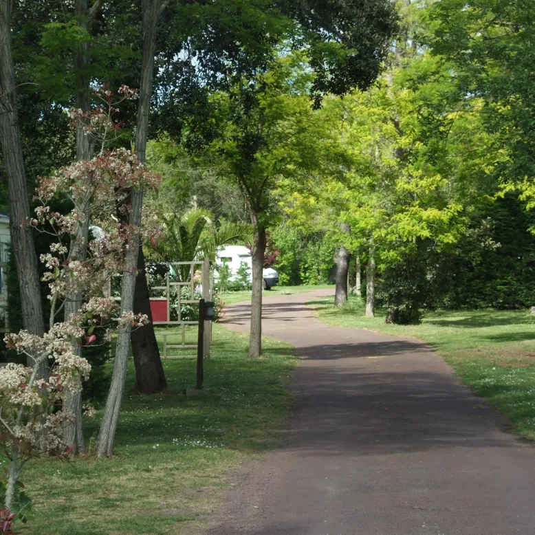 Camping Le Sous Bois