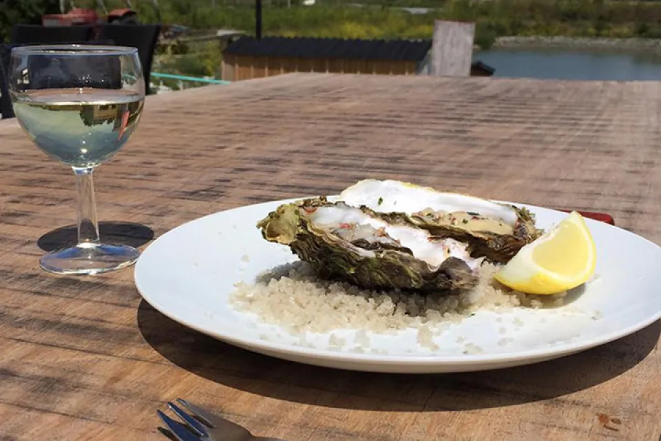 The Saunier Oyster