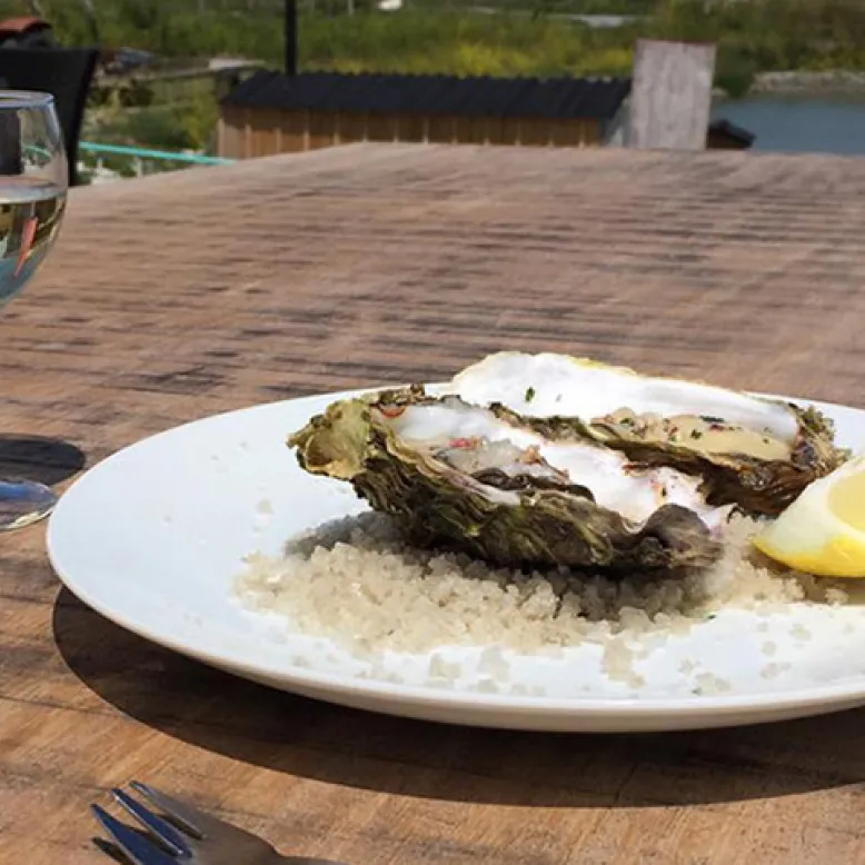 The Saunier Oyster