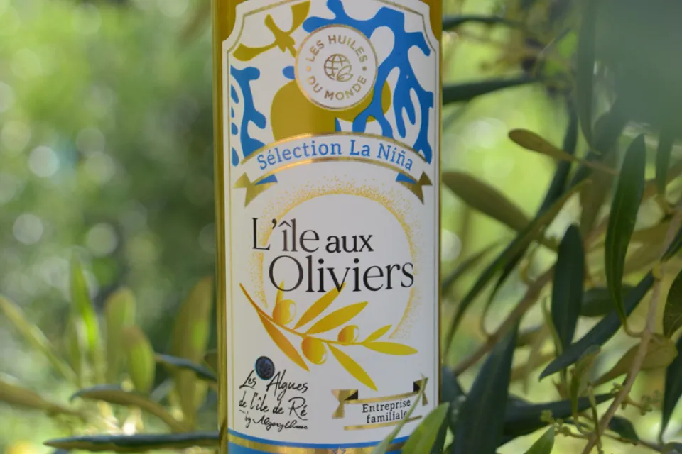 L'île aux oliviers