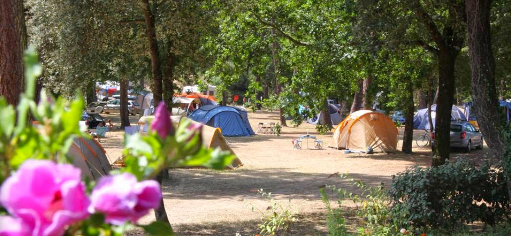 Camping La Palombiere Campings Mobil Homes Aux Mathes Guide De Charente Maritime