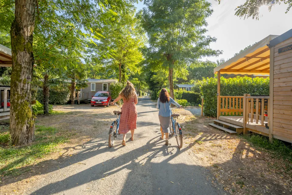 Campsite Les Fougères