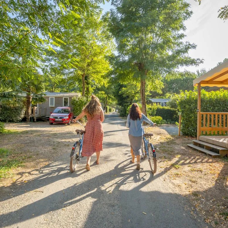 Campsite Les Fougères