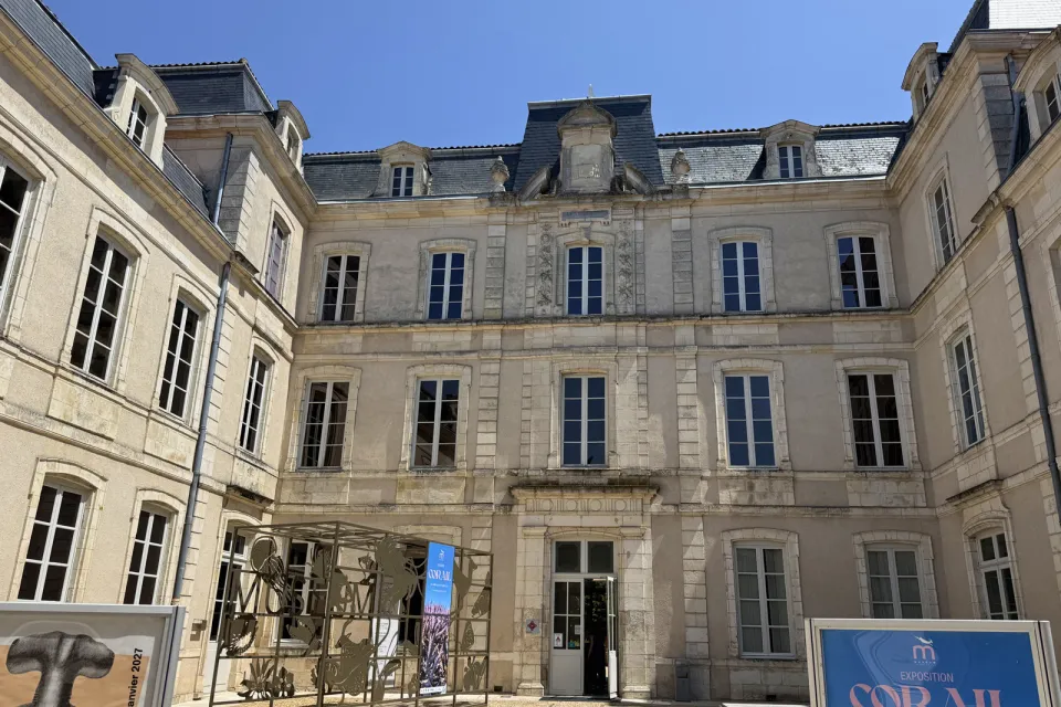 Museum d'histoire naturelle